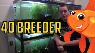 aquarium stands 40 gallon breeder
