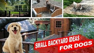 backyard designs for dogs
