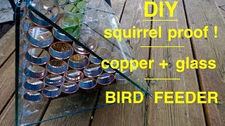 build your own squirrel proof bird feeder
