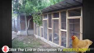building a chicken coop plans pdf