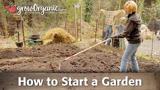building a vegetable garden from scratch