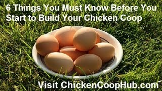 chicken coop design basics