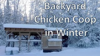 chicken coops designs in cold weather