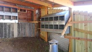 chicken house plans for 100 chickens