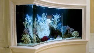custom made fish tanks