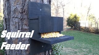 easy homemade squirrel feeders