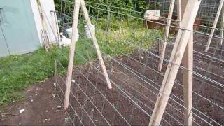 how to build a garden trellis for cucumbers