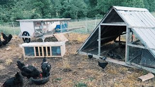 used chicken coops