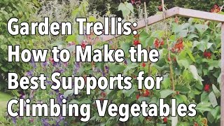 vegetable garden trellis designs