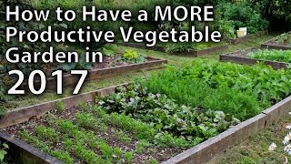 vegetable gardening