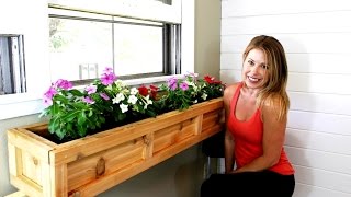 window box planter trays