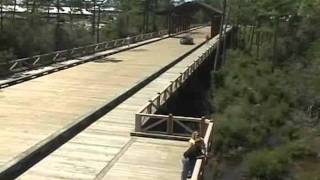 wooden bridge construction techniques
