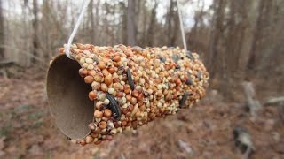 easy bird feeder for kids with peanut allergies