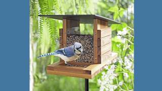 wooden bird feeder plans pdf